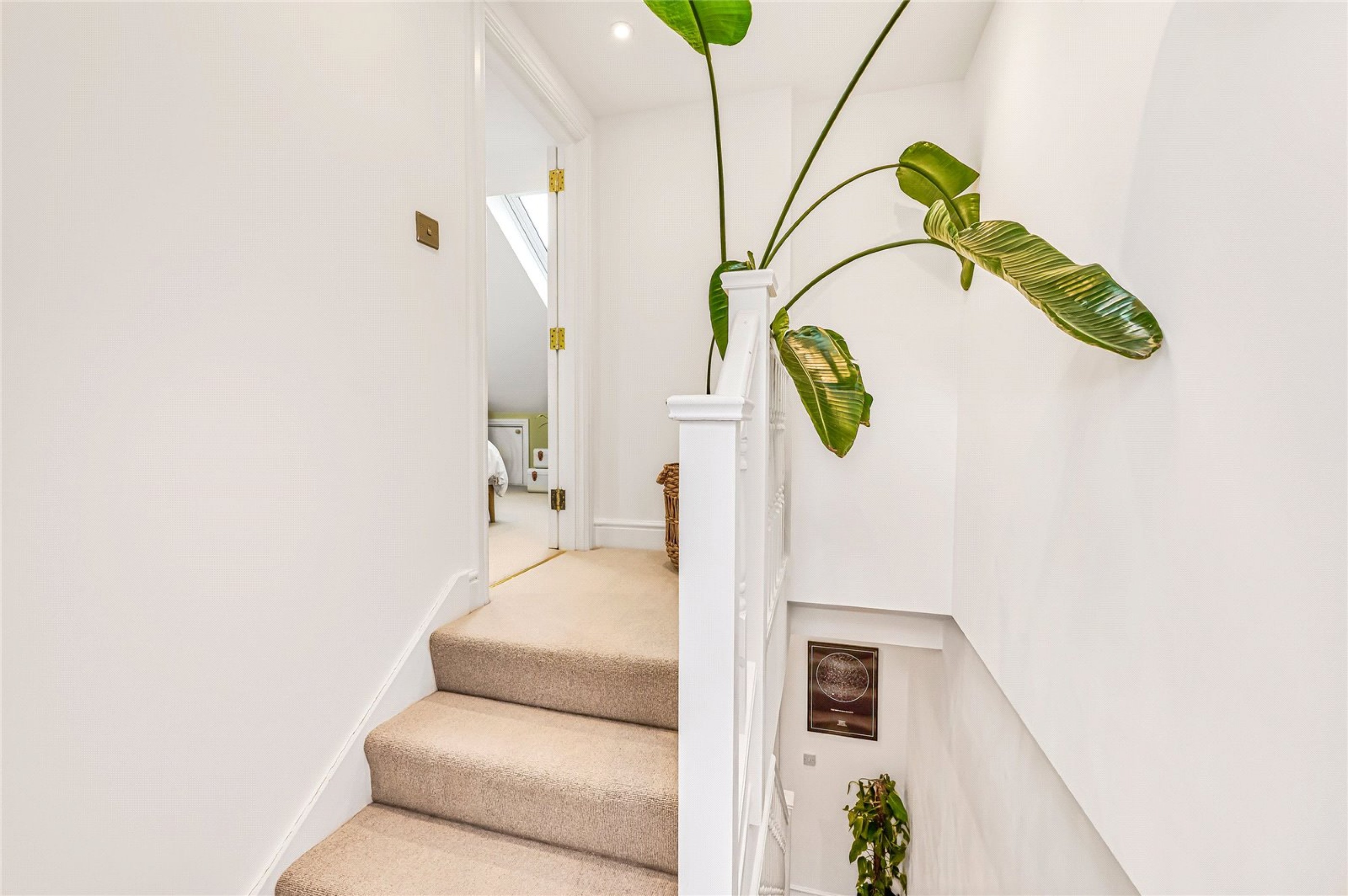 Images for Furzedown EAID:163099177 BID:FRD