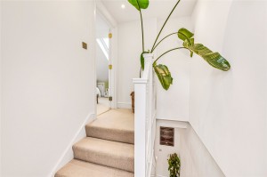 Images for Furzedown