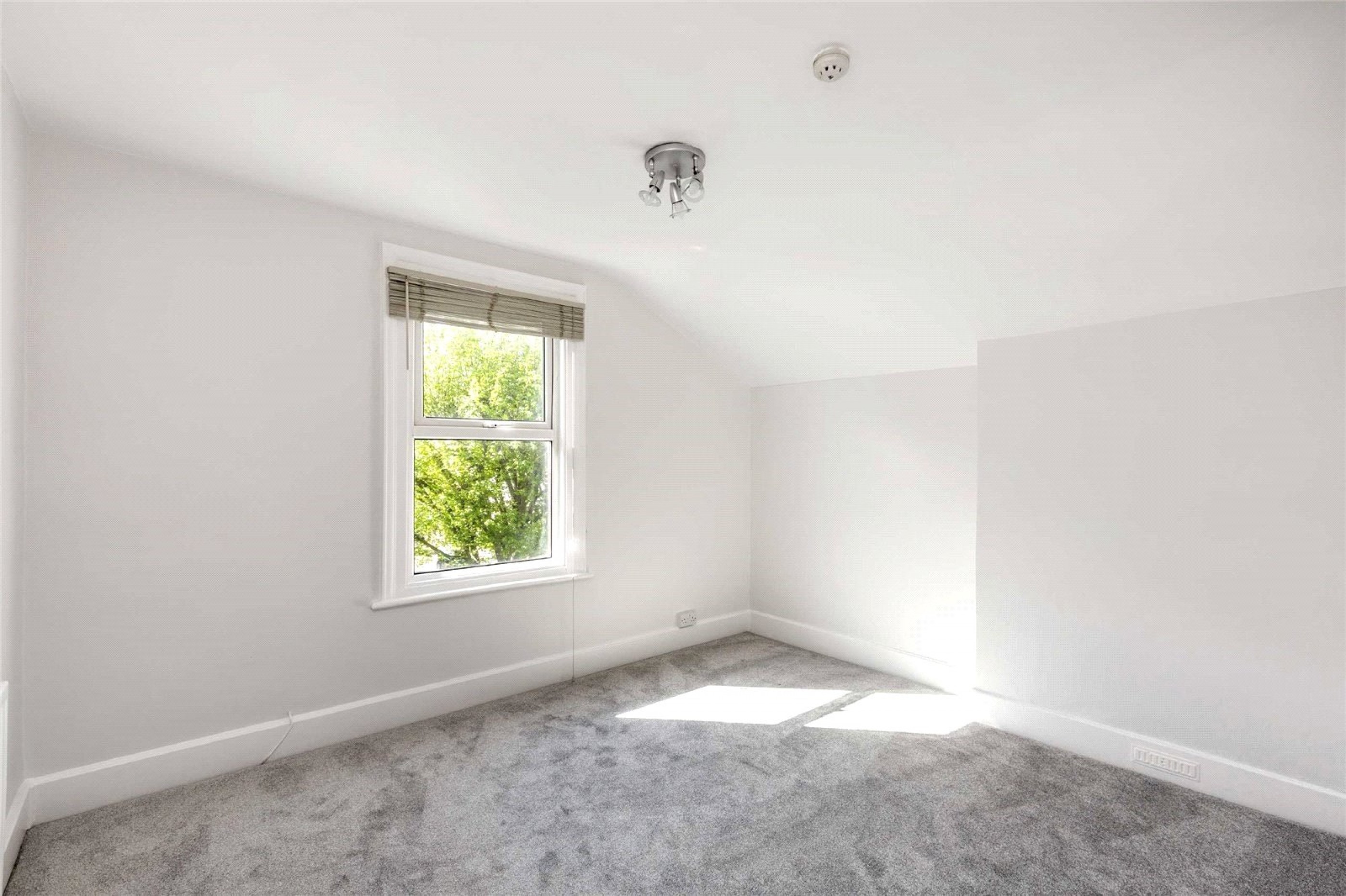 Images for Furzedown EAID:163099177 BID:FRD