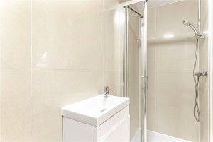 Images for Elephant & Castle, London